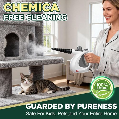 Steam Cleaner
