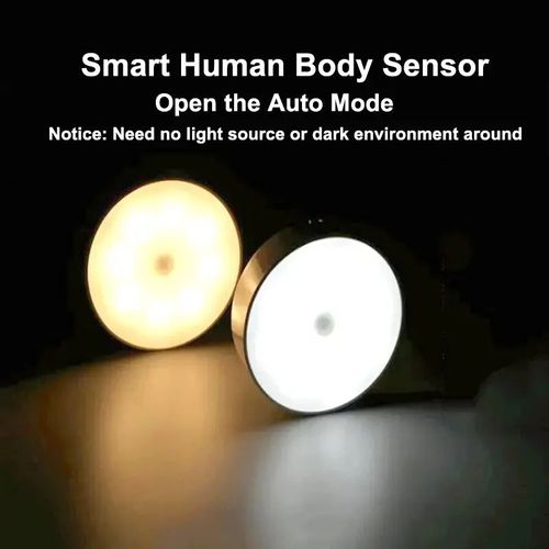 Intelligent human body induction light