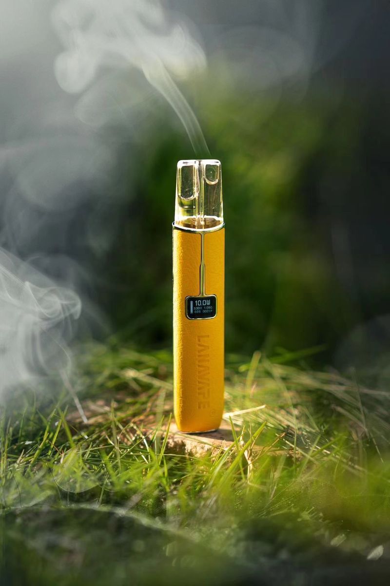 Lana 皮革款一代主機 把一代通用雙檔功率和穩定輸出長續航設備放在實際體驗前面，日常輸出與替換節奏更穩｜精選使用情境整理入手參考