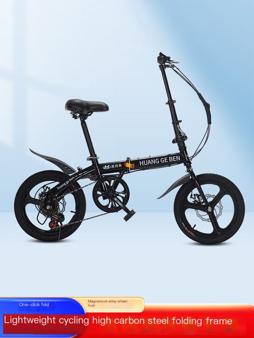Folding bikes