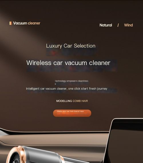 Handheld vacuum cleaner
