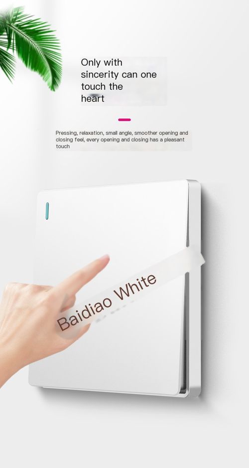 Switches and sockets