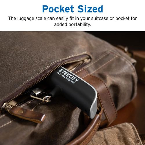 Portable handheld scale