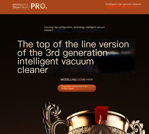 Handheld vacuum cleaner