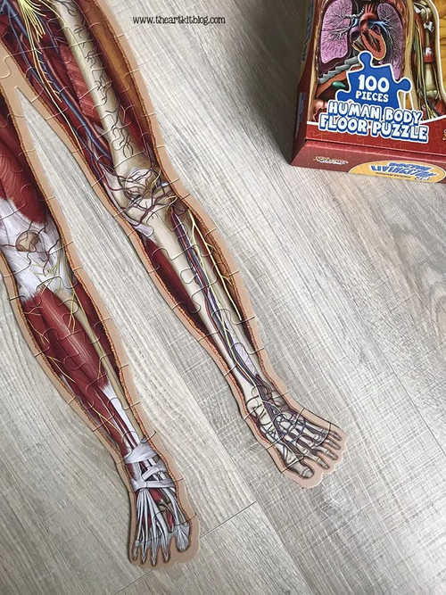 Kid's 100 Piece Human Body Floor Puzzle