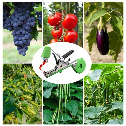 Professional Ergonomic Plant Tying Binding Machine, Time Saving Fast Vine Fixing Device Suitable For Tomatoes, Grapes, Peppers, Raspberries, Flowers And Multiple Climbing Vegetable Crop Stem Binding SEO Keywords