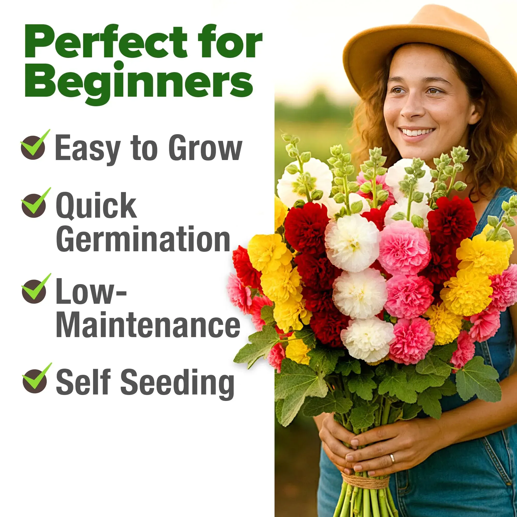 High Germination Rate Flower Seed Assortment, Hollyhock, Cosmos & Lavender Bulk Seeds for Outdoor Garden Planting