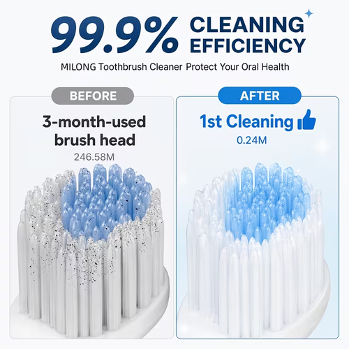 Toothbrush Holder And Cleaner Razor Holder