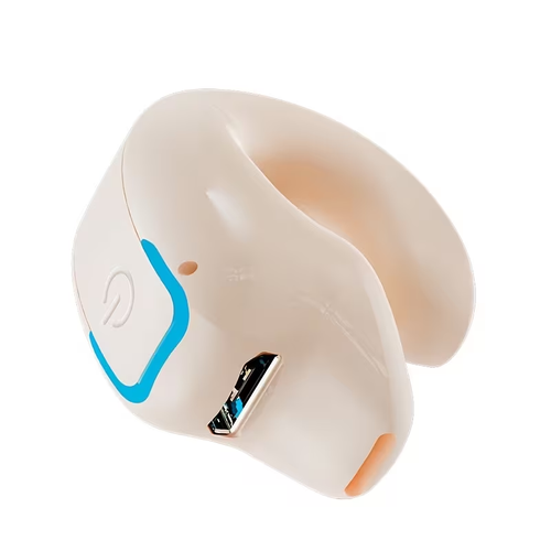 Wireless Earphones