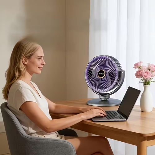 Multi-Functional Fan