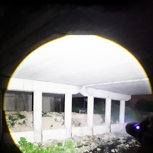 The Ultimate Survival Flashlight