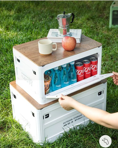 50L Multi-Function Foldable Box—Camping & Car Storage All In One!