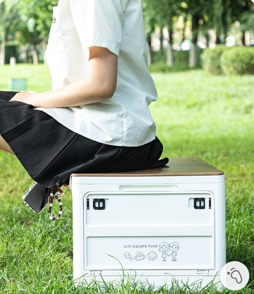 50L Multi-Function Foldable Box—Camping & Car Storage All In One!