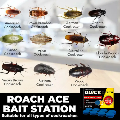 Cockroach Gel Quick Catch Roach Ace Bait Station (2 boxes, totaling 16 pieces)💣💣💣.    Pet Friendly🐶 , No Mess, Powerful Formula for Kitchen and Casa Pest Defense, Whole Nest End Cleaner.