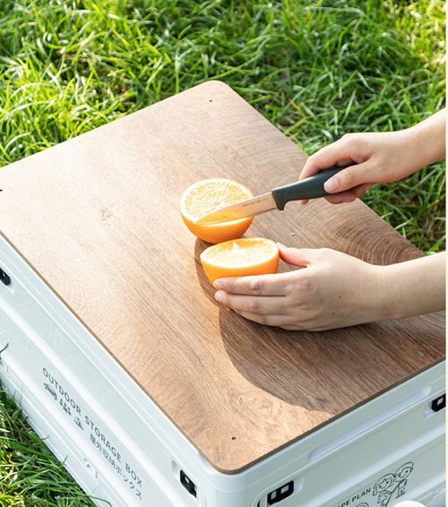 50L Multi-Function Foldable Box—Camping & Car Storage All In One!
