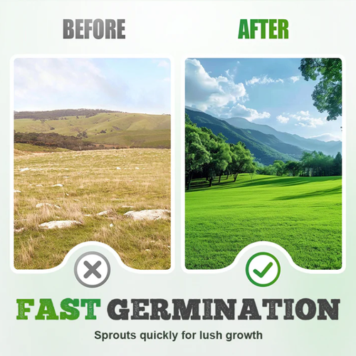 drought-resistant, pet-friendly garden grass seeds - evergreen lawn grass seeds