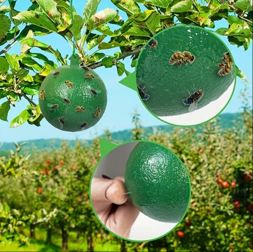Pièges à mouches des fruits environnementaux suspendus Pièges collants -Jaune（10 portions）