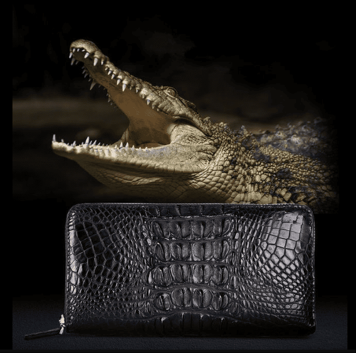 Pochette homme en cuir crocodile