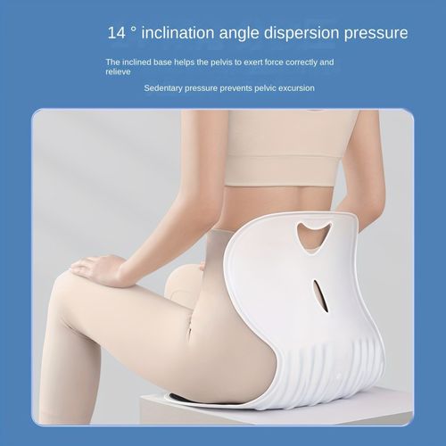 Ergonomic Lumbar Support Seat Cushion for Office & Home