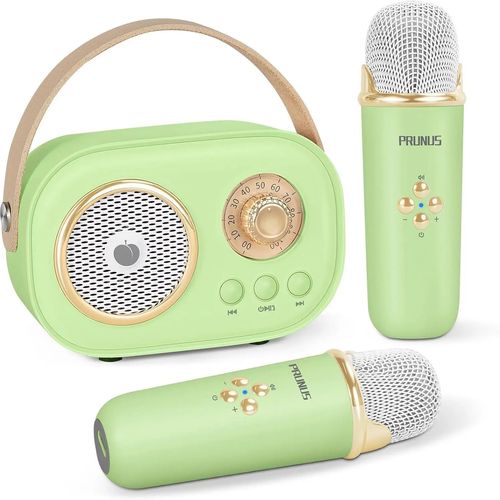Mini Karaoke Machine Portable Bluetooth Speaker with Wireless Microphone 6 Sound Modes for Adults&Kids Birthday Home Farmily Friends Party Gifts for Girls Boys Friends Ktv speaker