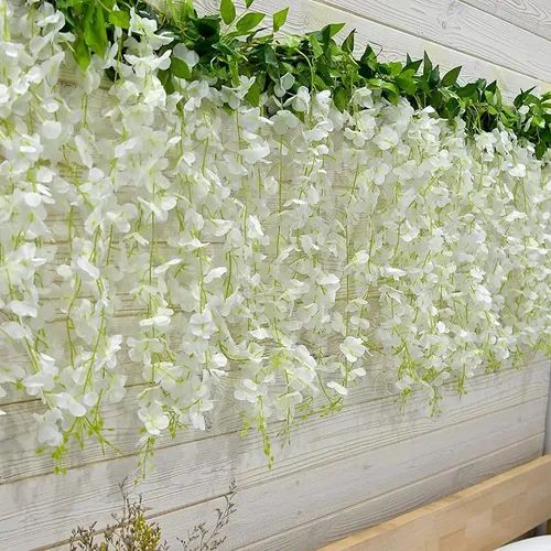 🌸WISTERIA - THE GARDENS CASCADING BEAUTY ALL YEAR ROUND