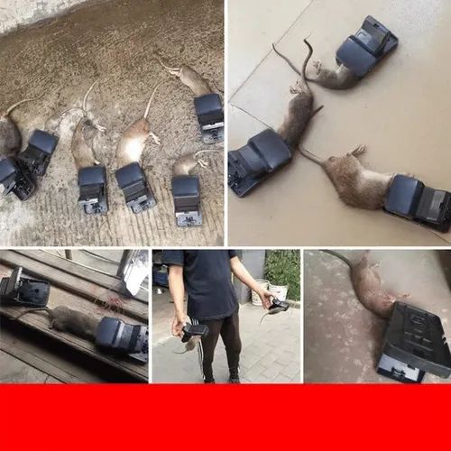🔥Buy 1 Get 4 Free🔥 High Sensitivity Powerful Mouse Trap