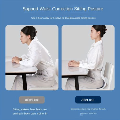 Ergonomic Lumbar Support Seat Cushion for Office & Home