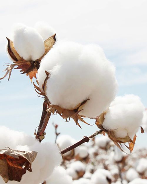 Baby Sling Carrier 2025 Baby Carrier Newborn to Toddler Sling Lightweight Baby Carrier Sling with Adjustable Straps Toddler Carrier Wrap for 10-30 lbs