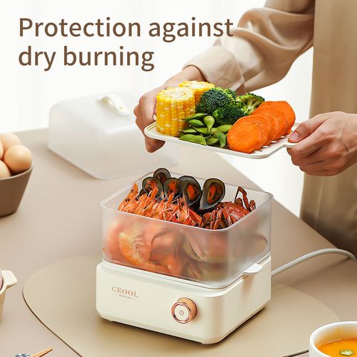 Electric steamer