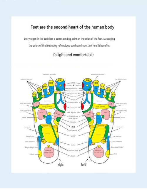 Path to Health  Pebble Foot Massage Mat — Soothes Fatigue Through Sole Massage