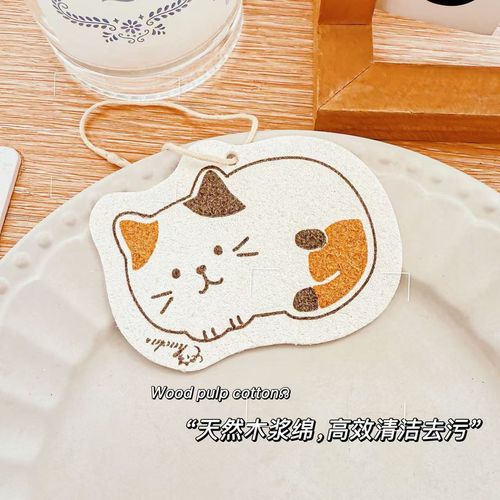Kitchen Dishwashing Sponge
