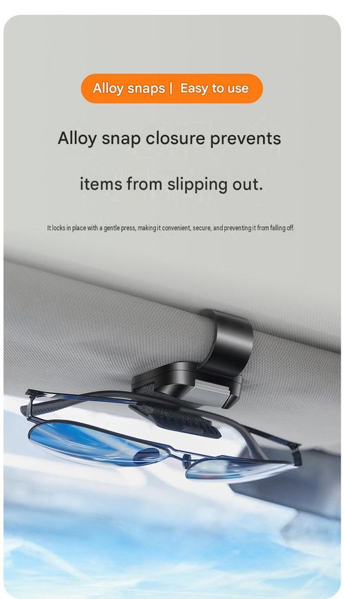 New Car Eyewear Clip