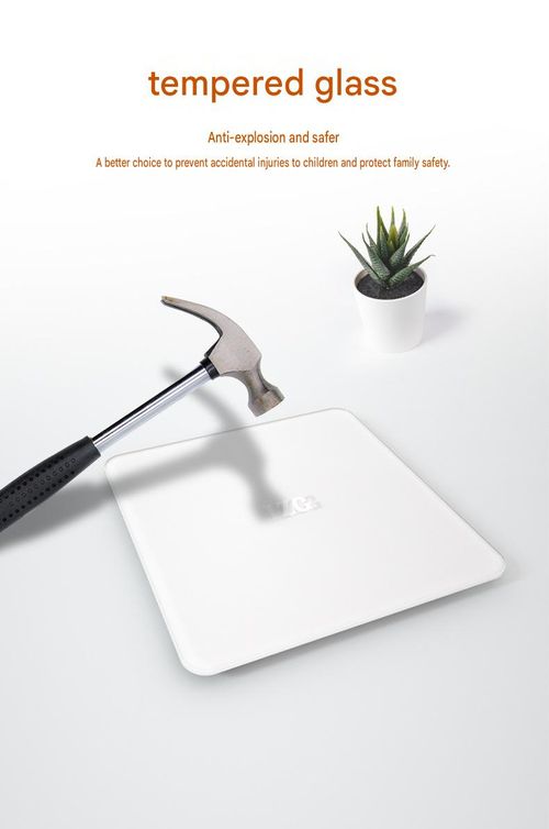 Electronic Body Weight Scale – High-Precision Gift Scale – Rechargeable Model