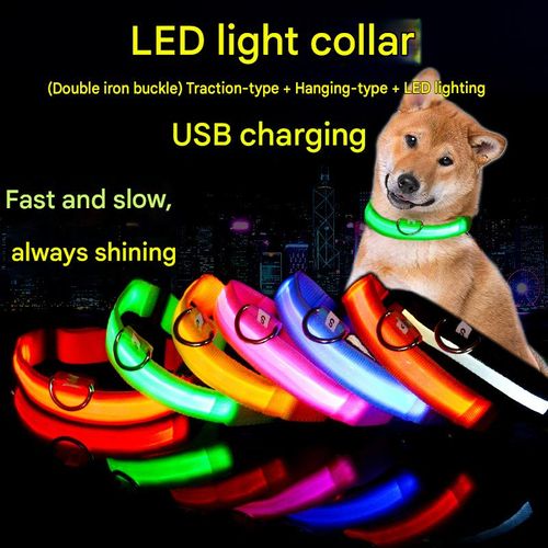 Light-up pet collar, USB-rechargeable LED dog collar (webbing style)