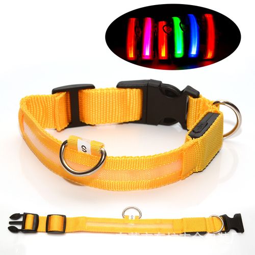 Light-up pet collar, USB-rechargeable LED dog collar (webbing style)