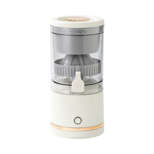Portable Mini Juicer