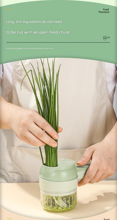 Electric kitchen garlic chopper