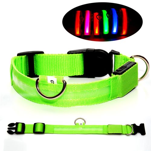 Light-up pet collar, USB-rechargeable LED dog collar (webbing style)