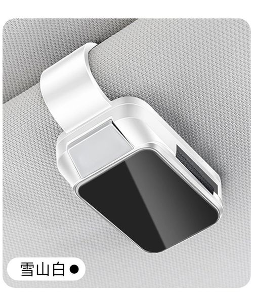 New Car Eyewear Clip