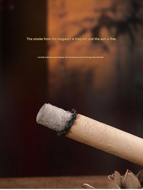 Pack of 50 Large Mugwort Sticks + Holder — Outdoor Insect Repellent, Indoor Aromatherapy