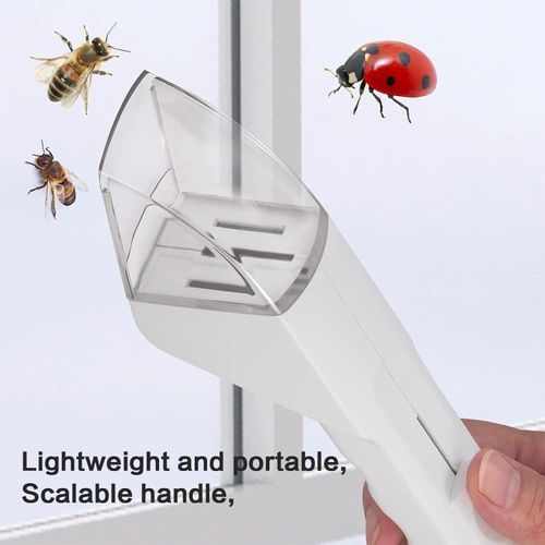 Portable Household Safe Bug Catcher