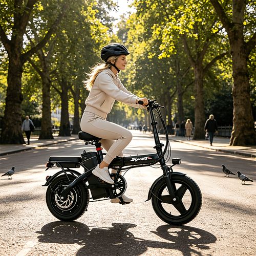electric bicycle