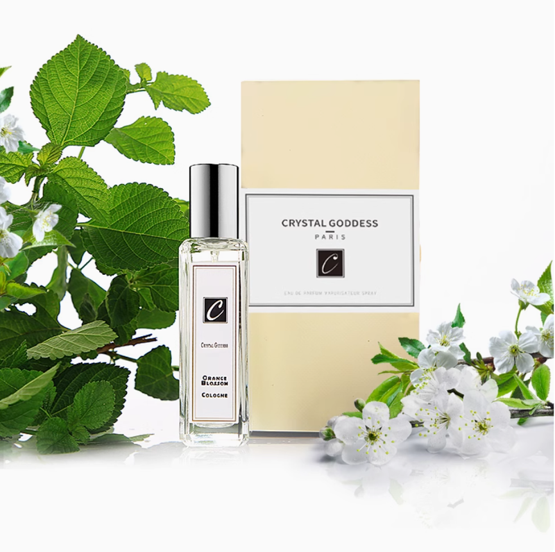 藍風鈴香水鼠尾草與海鹽小蒼蘭英國梨薄荷玫瑰女士持久香水送小樣