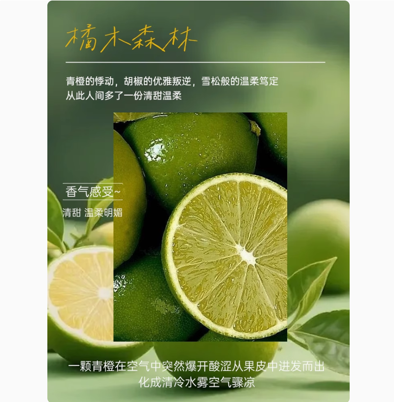 嶼緹橘木森林女士淡香水持久留香木質高級禮盒