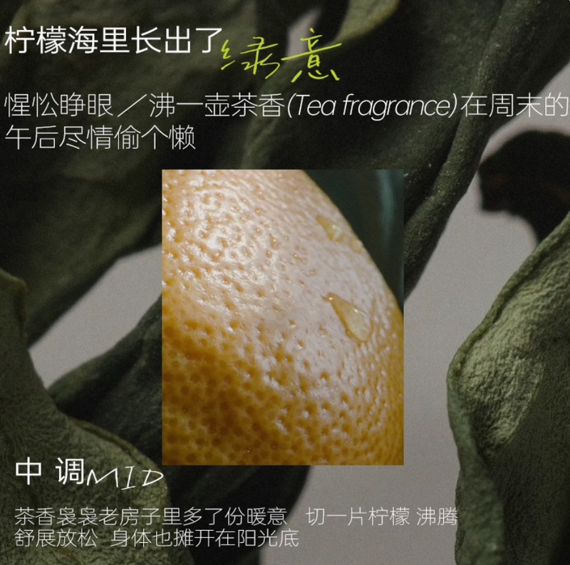 獨普香水山野之境女士持久淡香禮盒生日禮物送閨蜜邂逅