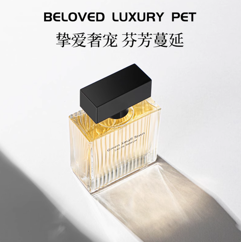 法國亞菲兒香水女士持久淡留香水木質花香約會送女友生日大牌禮物