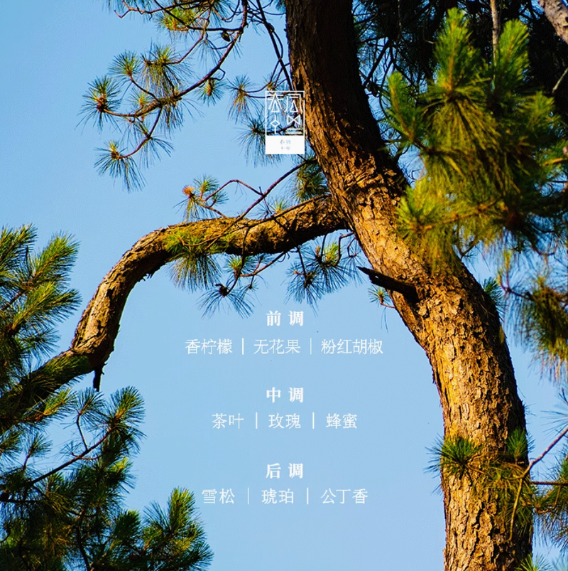 春風十里苦盡木質香水男女士持久淡香清新寺廟高級檀香送人禮品