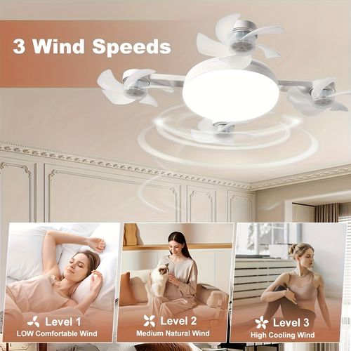 LED Smart Ceiling Fan Light