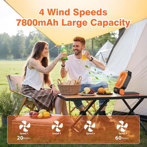 Solar Portable Fan