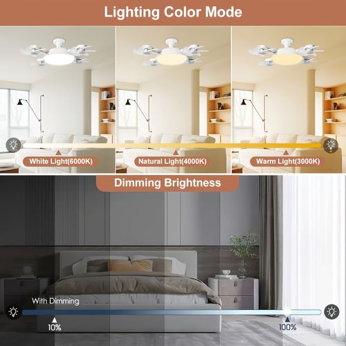 LED Smart Ceiling Fan Light